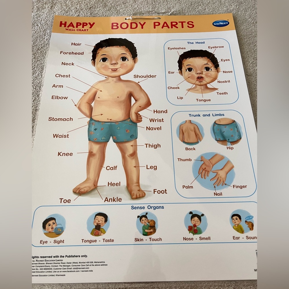 Laminated My body poster.
